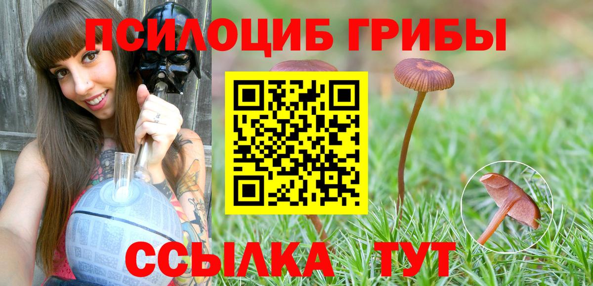 Анжеро-Судженск  Псилоцибиновые грибы Cubensis  Псилоцибиновые грибы ЛСД  Вход с VPN 